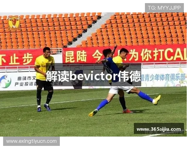 伟德bevictor官网及平台客户服务与常见问题解决方案全攻略