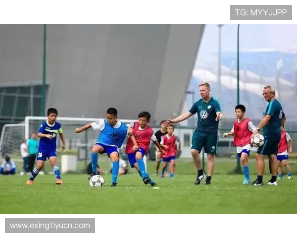 乐动全体育注册过程常见问题解答及解决方案帮助用户顺利注册成功