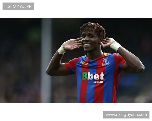 皇冠新体育官网不断优化用户体验，打造最专业的体育赛事平台