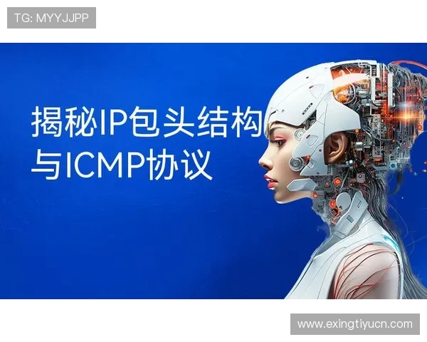 CMP体育官方官网全面介绍与最新赛事资讯一站式查询平台