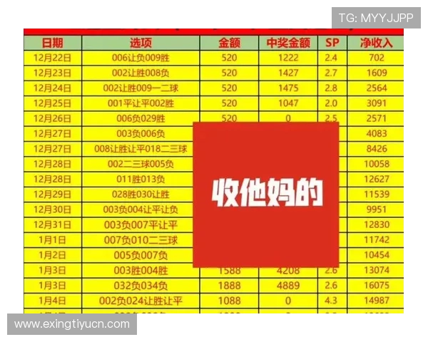 足彩必发盈亏分析帮助玩家掌握盈利技巧实现稳定盈利的实用指南